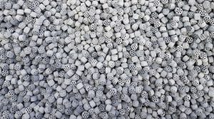 hydroprocessing catalysts